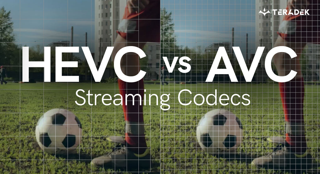 See the Difference: HEVC vs AVC