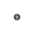 2.4/5GHz Antenna