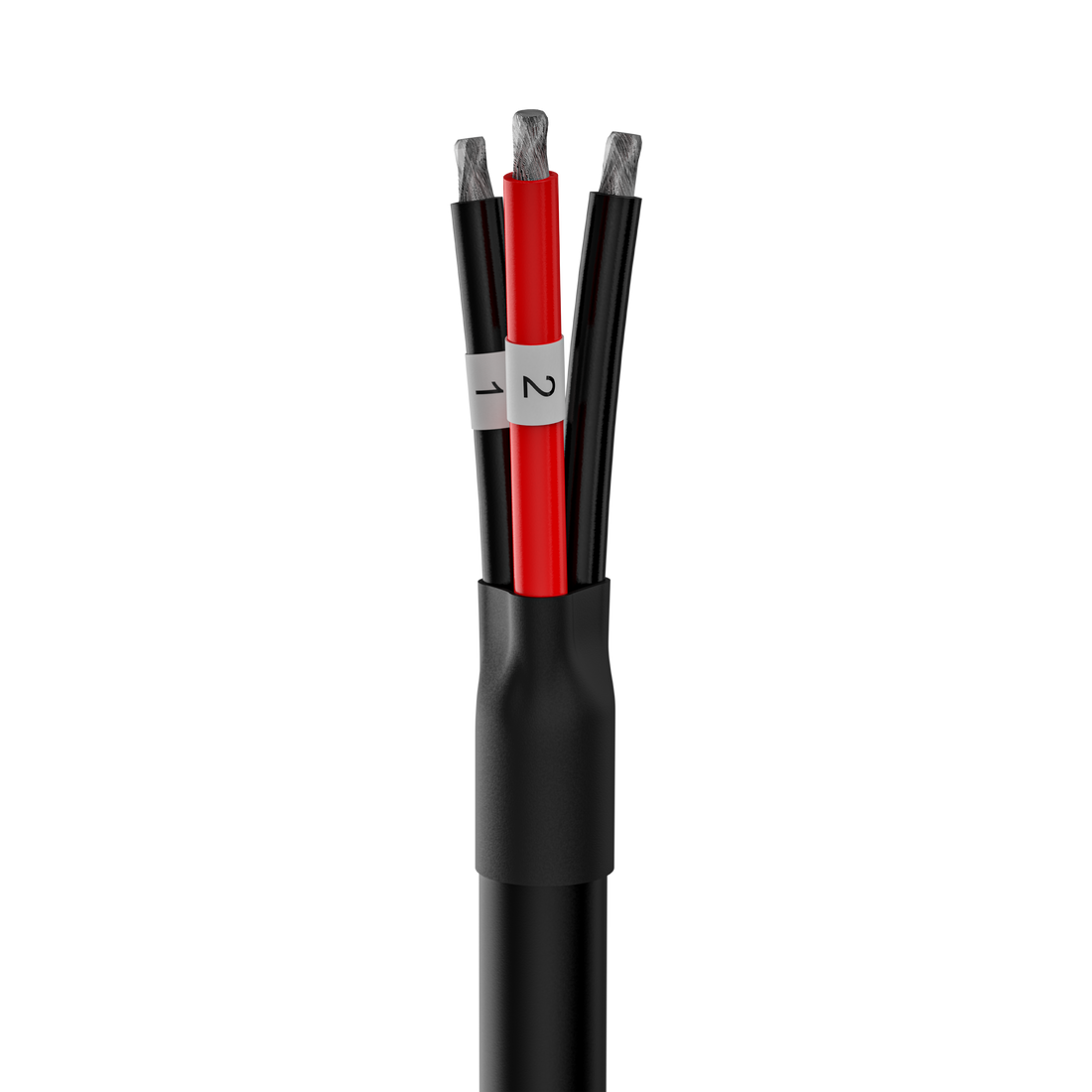 11-1620 2 pin Locking 1B to Flying Leads Cable