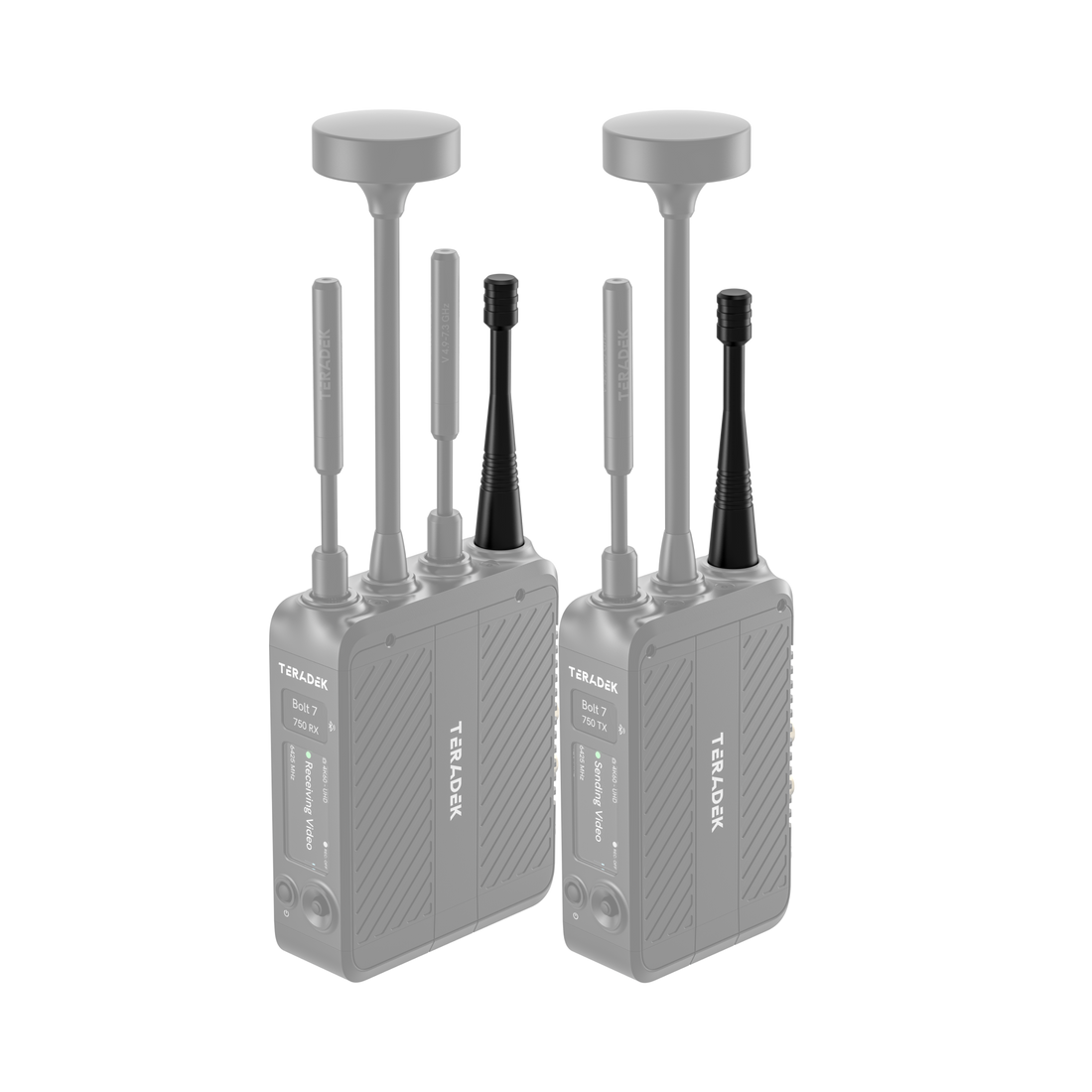 11-1622, 900 MHz Antenna on Bolt 7 TX/RX Set